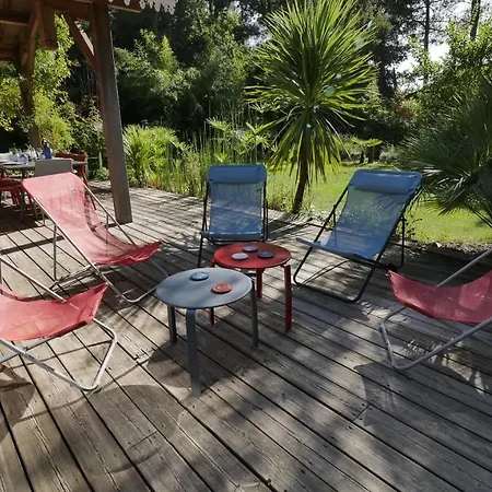 Belle 8 Personnes Proche De La Foret Lanton
