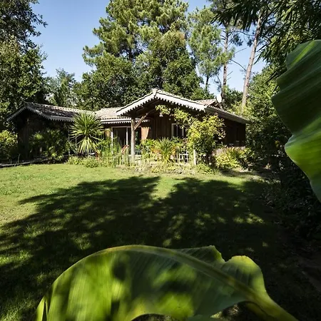 Belle 8 Personnes Proche De La Foret * Lanton